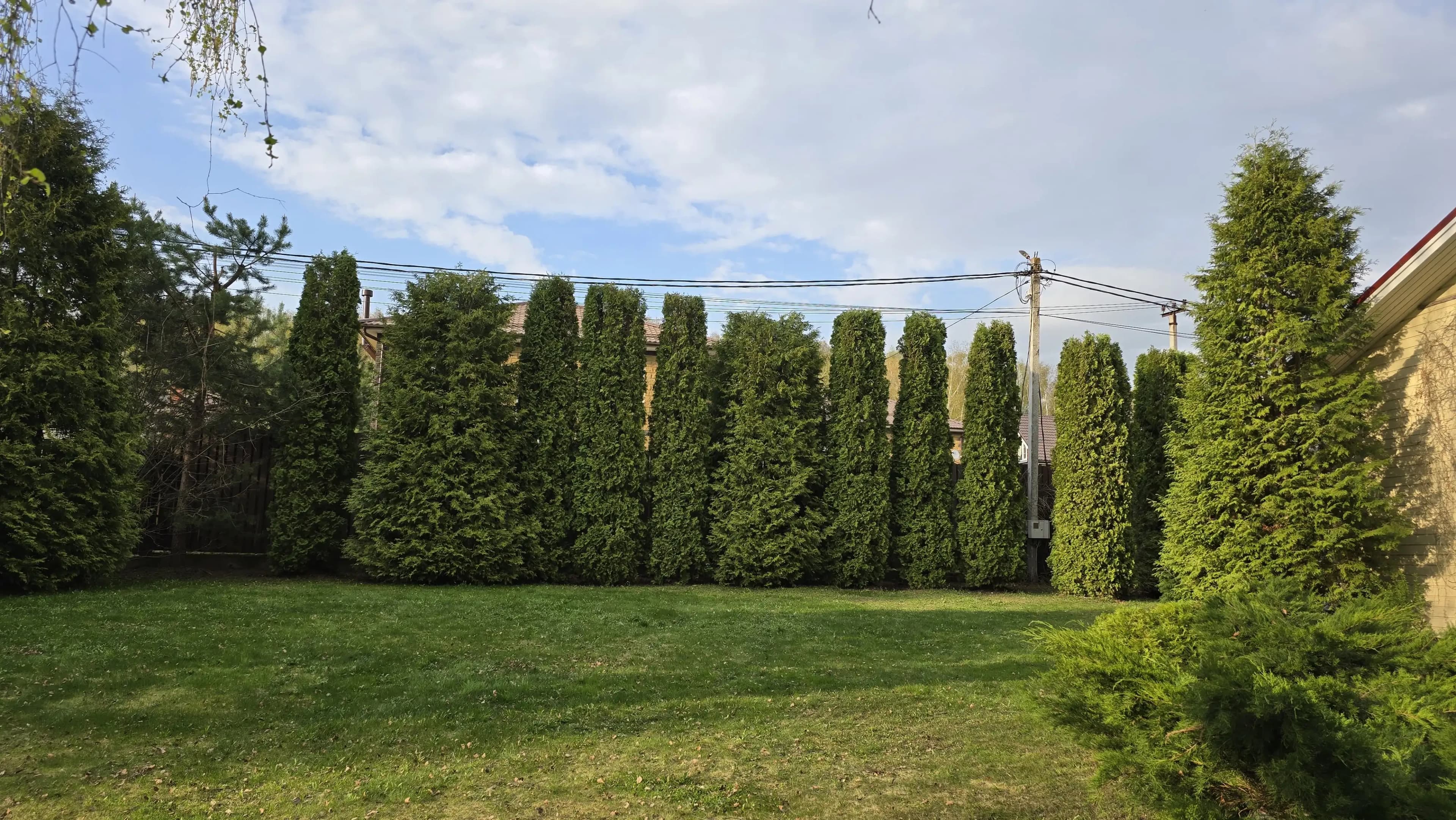 Digital Horizons: A Glimpse into Tomorrow